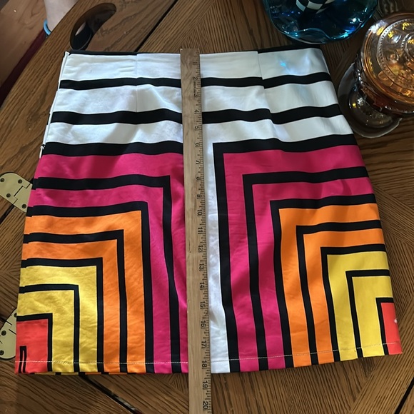 Colorblock Skirt Size 4 - Picture 11 of 13